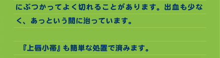 にぶつかってよく切れることがあります。出血も少なく、あっという間に治っています。  　『上唇小帯』も簡単な処置で済みます。