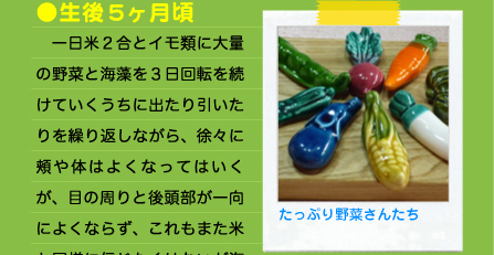 ●生後5ヶ月頃 　一日米２合とイモ類に大量の野菜と海藻を３日回転を続けていくうちに出たり引いたりを繰り返しながら、徐々に頬や体はよくなってはいくが、目の周りと後頭部が一向によくならず、これもまた米と同様に信じたくはないが海